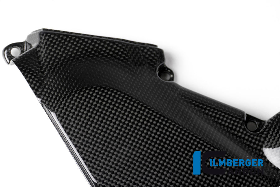 Ilmberger Carbon Beltcover for the Ducati Monster 1200 /1200 S/R '14-17 / Monster 821 '14-17
