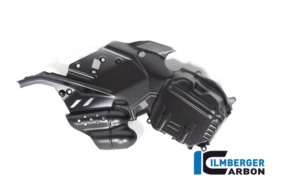 Ilmberger Carbon Cam Cover, Left for the Ducati  Diavel V4 2023