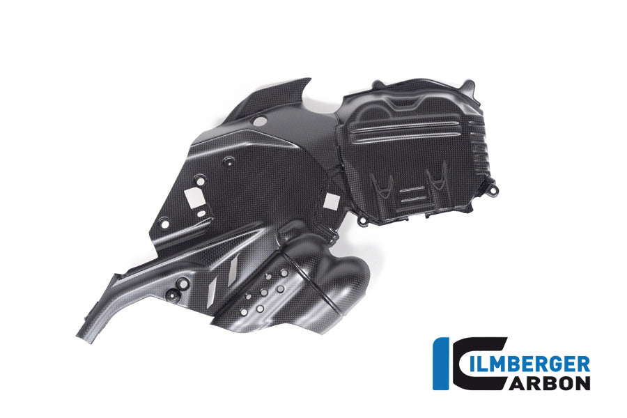 Ilmberger Carbon Cam Cover, Left for the Ducati  Diavel V4 2023