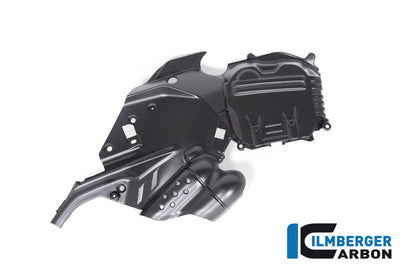 Ilmberger Carbon Cam Cover, Left for the Ducati  Diavel V4 2023