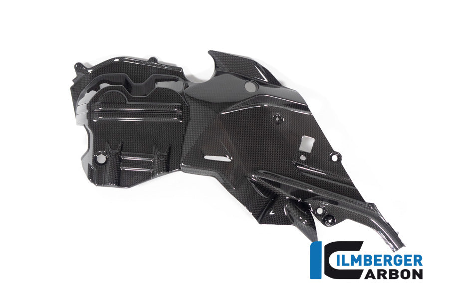 Ilmberger Carbon Cam Cover, Right for the Ducati  Diavel V4 2023