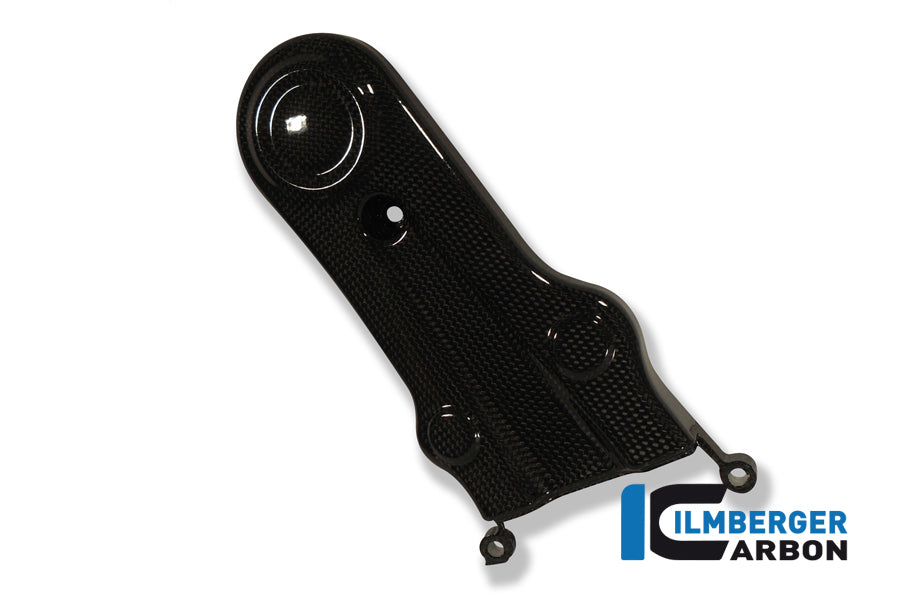Ilmberger Carbon Cam Belt Covers 1100 SI, Vertical for the Ducati Monster / Hypermotard 1100 EVO