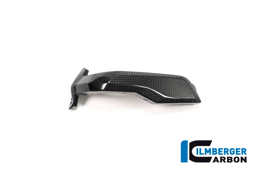 Ilmberger Carbon Spark Plug Cover, Left Side Carbon for the BMW R 1200 GS '13-17, R 1200 GS Adventure 2014, R 1200 RS 2015