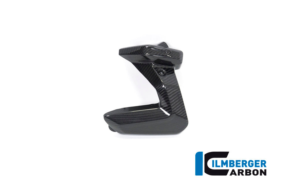 Ilmberger Carbon Spark Plug Cover, Left Side for the BMW R 1250 R/RS/GS/GS Adventure 2019