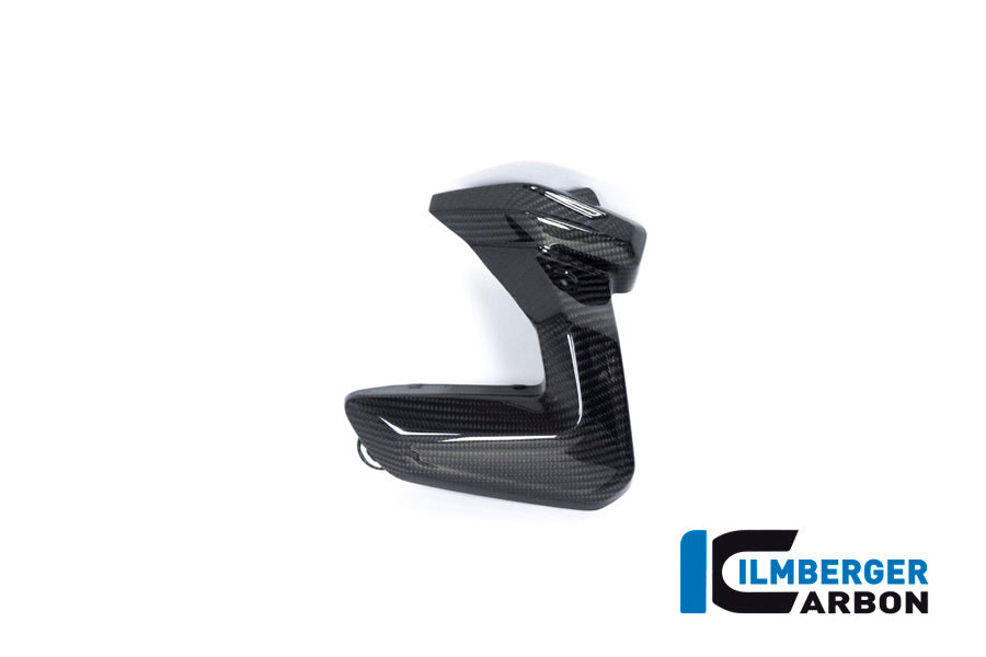 Ilmberger Carbon Spark Plug Cover, Left Side for the BMW R 1250 R/RS/GS/GS Adventure 2019