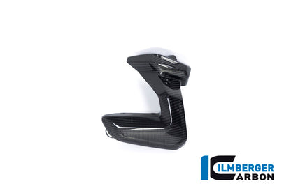 Ilmberger Carbon Spark Plug Cover, Left Side for the BMW R 1250 R/RS/GS/GS Adventure 2019