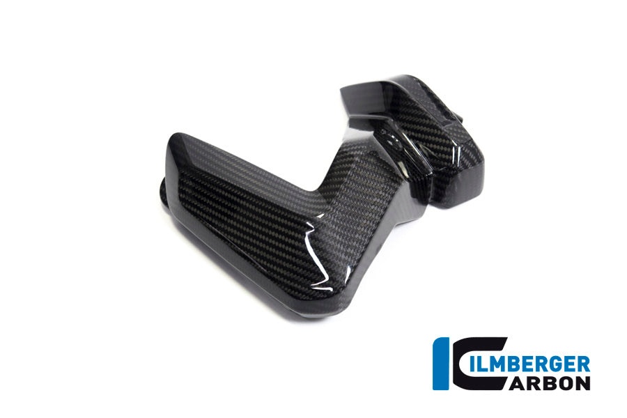 Ilmberger Carbon Spark Plug Cover, Left Side for the BMW R 1250 R/RS/GS/GS Adventure 2019
