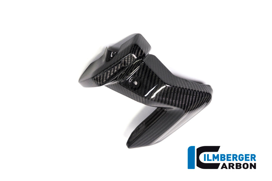 Ilmberger Carbon Spark Plug Cover, Left Side for the BMW R 1250 R/RS/GS/GS Adventure 2019