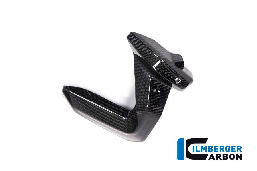 Ilmberger Carbon Spark Plug Cover, Left Side for the BMW R 1250 R/RS/GS/GS Adventure 2019