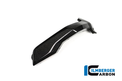 Ilmberger Carbon Spark Plug Cover, Right Side Carbon for the BMW R 1200 GS '13-17, R 1200 GS Adventure 2014, R 1200 RS 2015