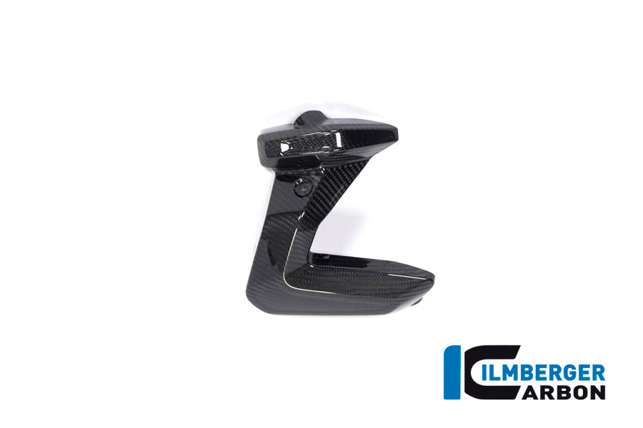 Ilmberger Carbon Spark Plug Cover, Right Side for the BMW R 1250 R/RS/GS/GS Adventure 2019