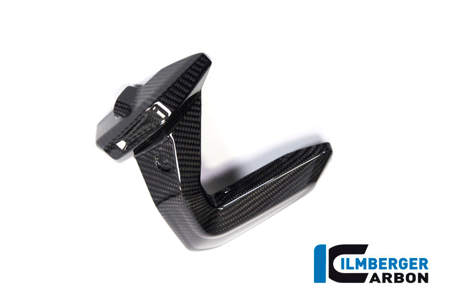 Ilmberger Carbon Spark Plug Cover, Right Side for the BMW R 1250 R/RS/GS/GS Adventure 2019