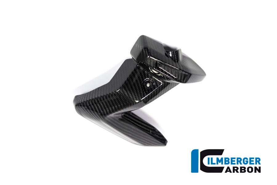 Ilmberger Carbon Spark Plug Cover, Right Side for the BMW R 1250 R/RS/GS/GS Adventure 2019