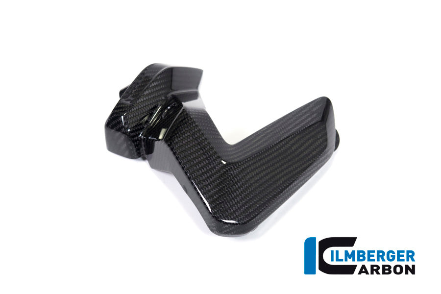 Ilmberger Carbon Spark Plug Cover, Right Side for the BMW R 1250 R/RS/GS/GS Adventure 2019