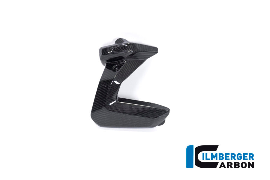 Ilmberger Carbon Spark Plug Cover, Right Side for the BMW R 1250 R/RS/GS/GS Adventure 2019