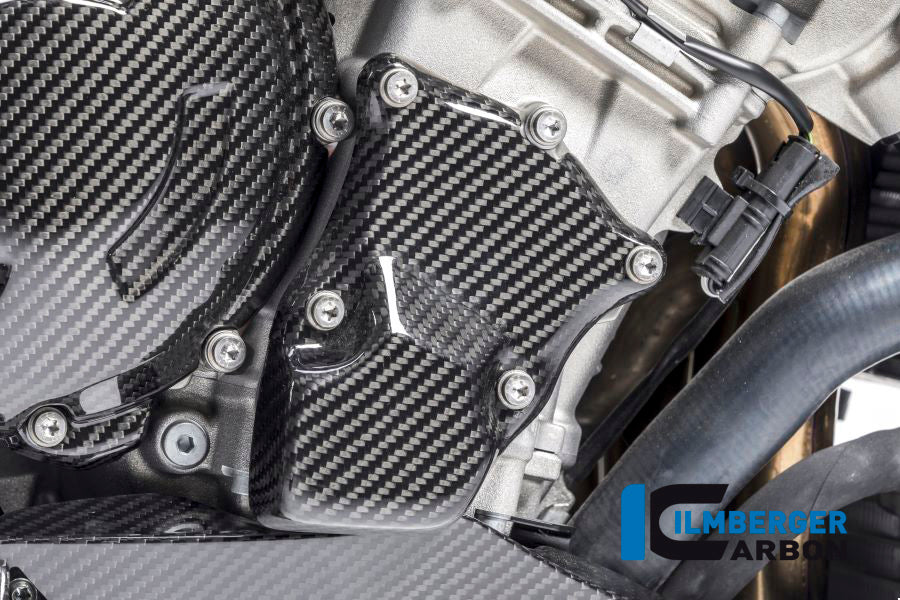 Ilmberger Carbon Ignition Rotor Cover, Carbon for the BMW S 1000 R '14-25 / RR '10-18 / HP4 '12-24 / S 1000 XR '15-19