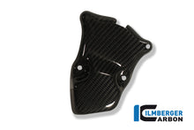 Ilmberger Carbon Ignition Rotor Cover, Carbon for the BMW S 1000 RR Racing 2009-2025