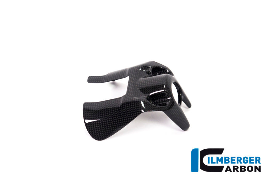 Ilmberger Carbon Ignition Switch Cover for the Ducati Monster 1200 / 1200 S 2017
