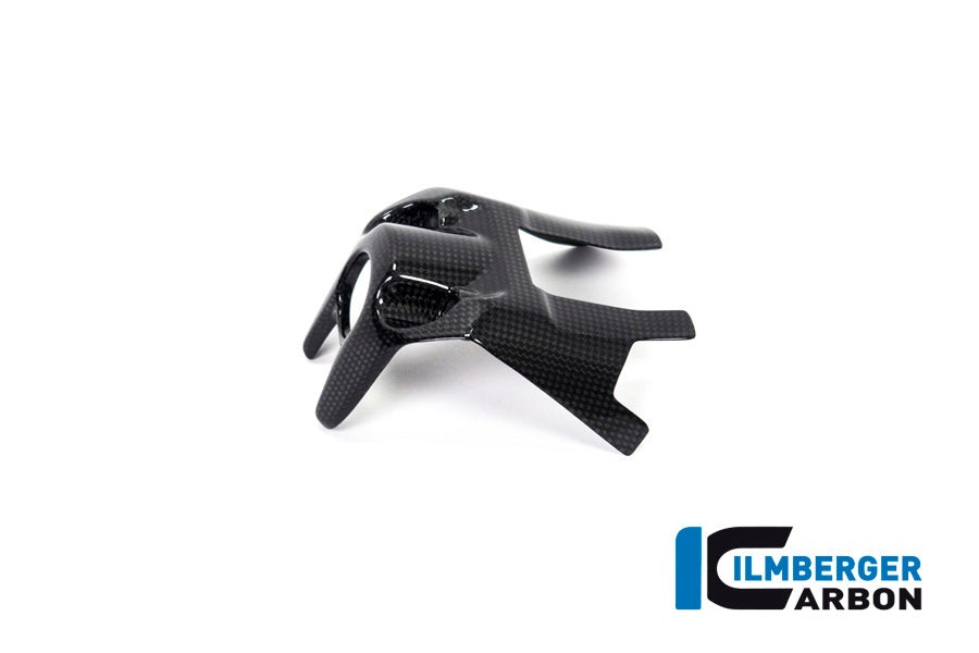 Ilmberger Carbon Ignition Switch Cover for the Ducati Monster 1200 / 1200 S 2017