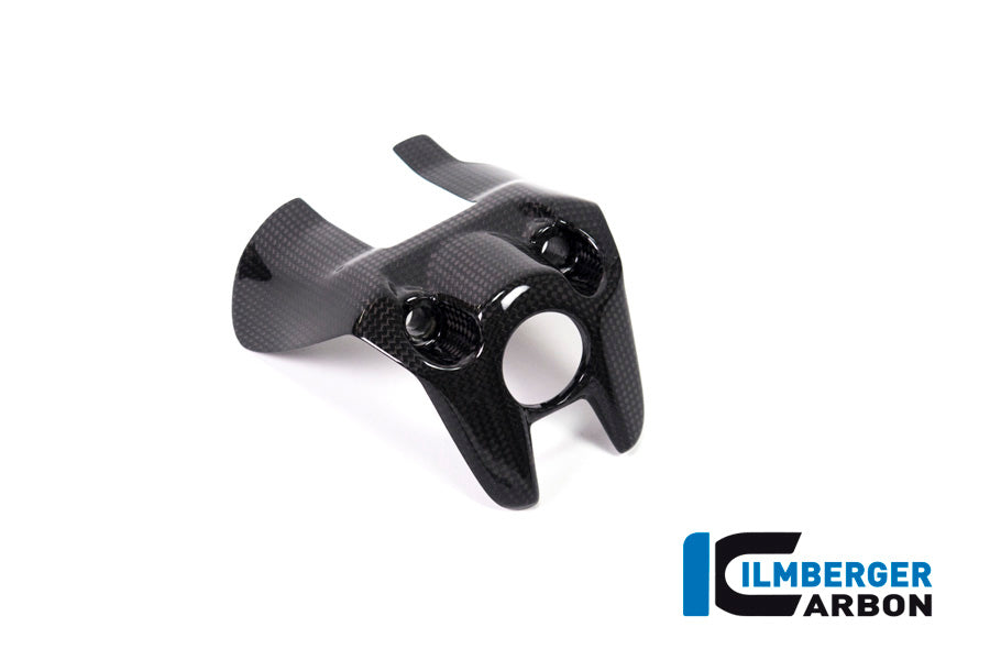 Ilmberger Carbon Ignition Switch Cover for the Ducati Monster 1200 / 1200 S 2017