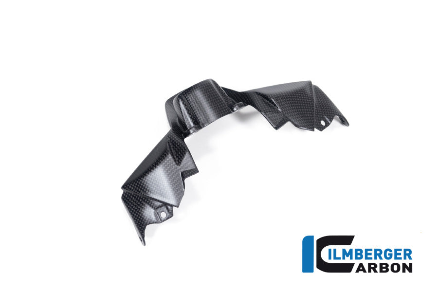 Ilmberger Carbon Ignition Switch Cover for the Ducati Streetfighter V2 '22