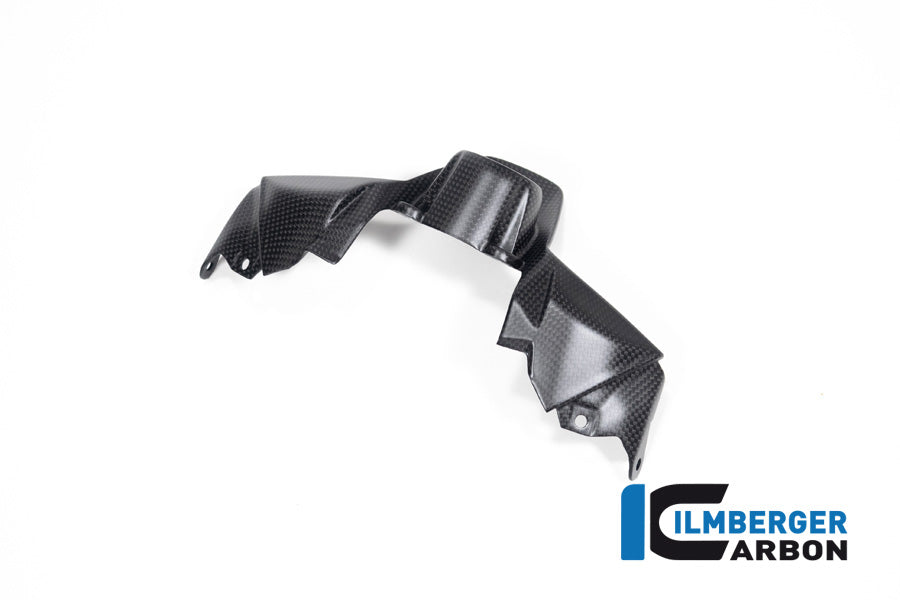 Ilmberger Carbon Ignition Switch Cover for the Ducati Streetfighter V2 '22