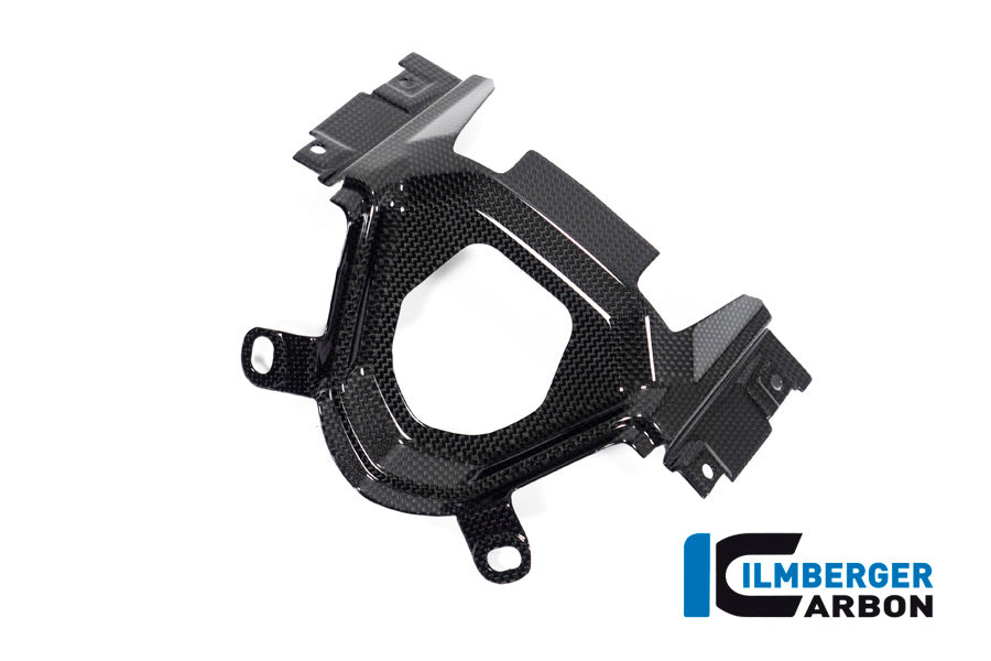 Ilmberger Carbon Ignition Switch Cover for the Ducati Diavel 1260 2019