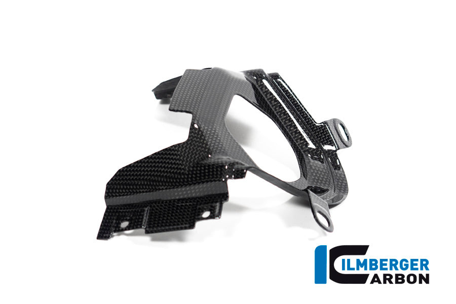 Ilmberger Carbon Ignition Switch Cover for the Ducati Diavel 1260 2019