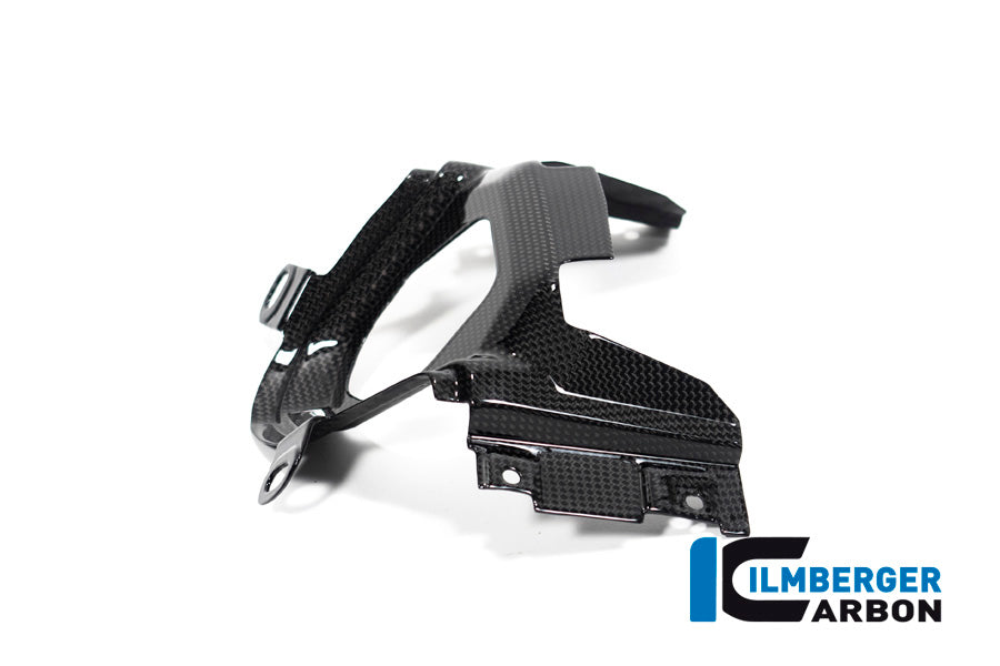 Ilmberger Carbon Ignition Switch Cover for the Ducati Diavel 1260 2019