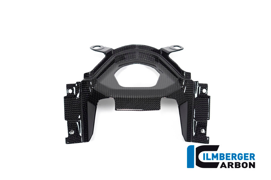 Ilmberger Carbon Ignition Switch Cover for the Ducati Diavel 1260 2019