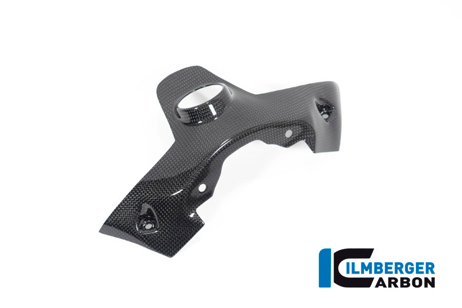 Ilmberger Carbon Ignition Swich Cover for the Ducati Panigale 1299 '15 / 959 Panigale '16-19