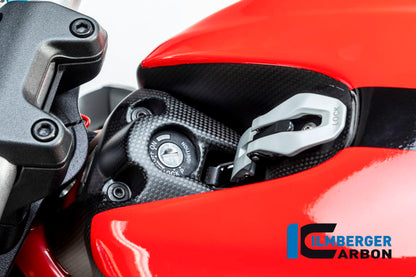 Ilmberger Carbon Ignition Switch Cover for the Ducati Monster 1200 / 1200 S 2017