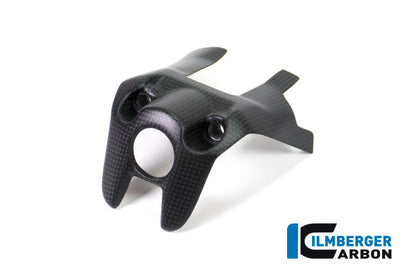 Ilmberger Carbon Ignition Switch Cover for the Ducati Monster 1200 / 1200 S 2017