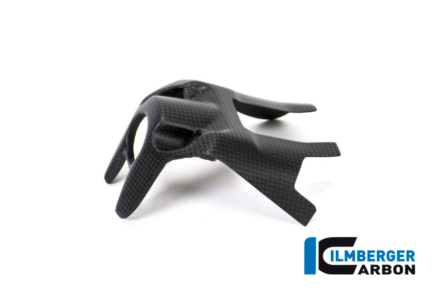 Ilmberger Carbon Ignition Switch Cover for the Ducati Monster 1200 / 1200 S 2017
