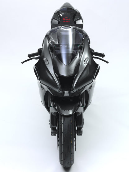 CARBONIN CARBON FIBER RACE BODYWORK FOR KAWASAKI ZX-10R (2016-2020)