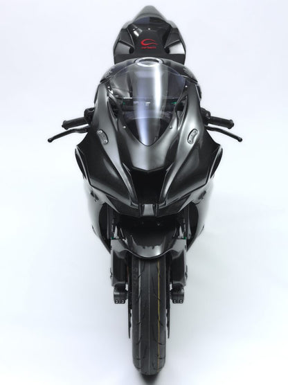 CARBONIN CARBON FIBER RACE BODYWORK FOR KAWASAKI ZX-10R (2016-2020)