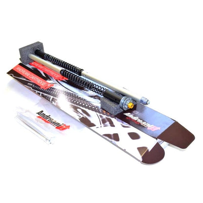 Ducabike Andreani 20mm Fork Cartridge Kit for Ducati GT1000 / Touring