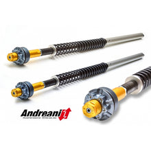 Ducabike Andreani 20mm Fork Cartridge Kit for Ducati Monster 821 with Kayaba Forks