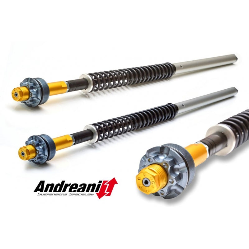 Ducabike Andreani 20mm Fork Cartridge Kit for Ducati Hyperstrada 821- LOW KIT