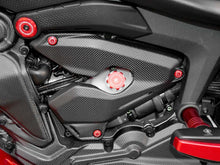 DBK Special Parts (Ducabike) Carbon Fiber Side Covers for Ducati Monster 937