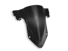 DBK Special Parts (Ducabike) Twill Carbon Fiber Windscreen for BMW S1000RR / M1000RR (2020+)