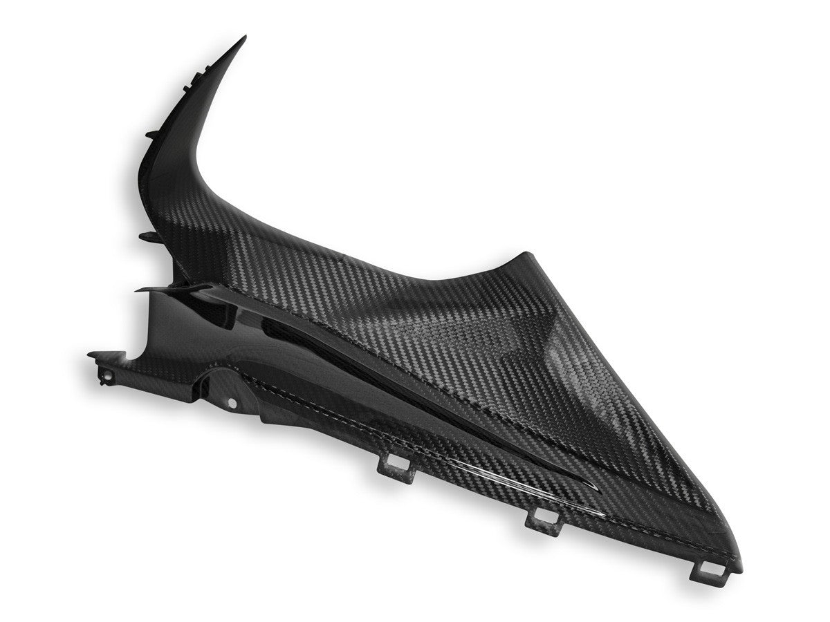 DBK Special Parts (Ducabike) Twill Carbon Fiber Infil Panels for BMW S1000RR (2020+)