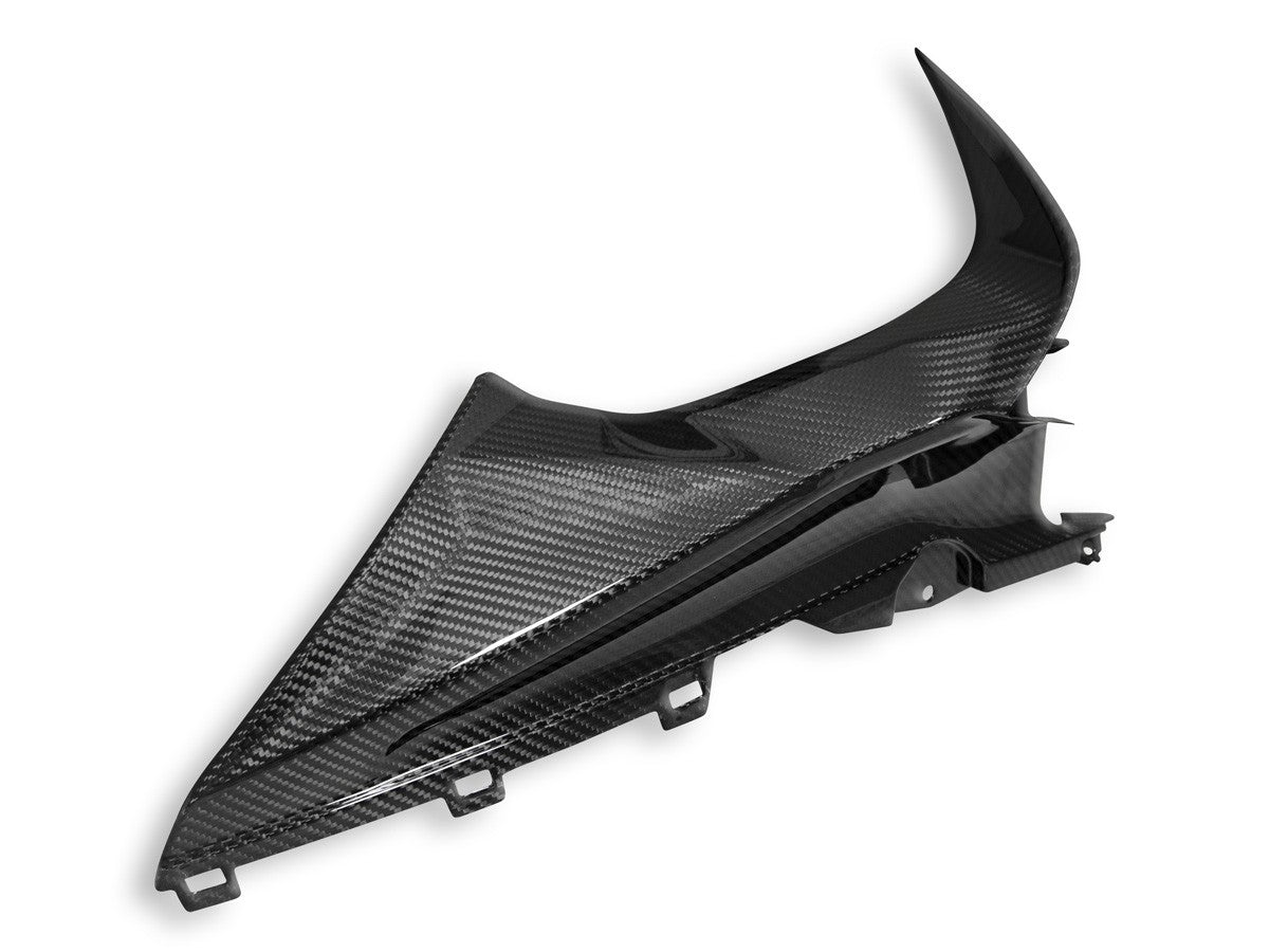 DBK Special Parts (Ducabike) Twill Carbon Fiber Infil Panels for BMW S1000RR (2020+)