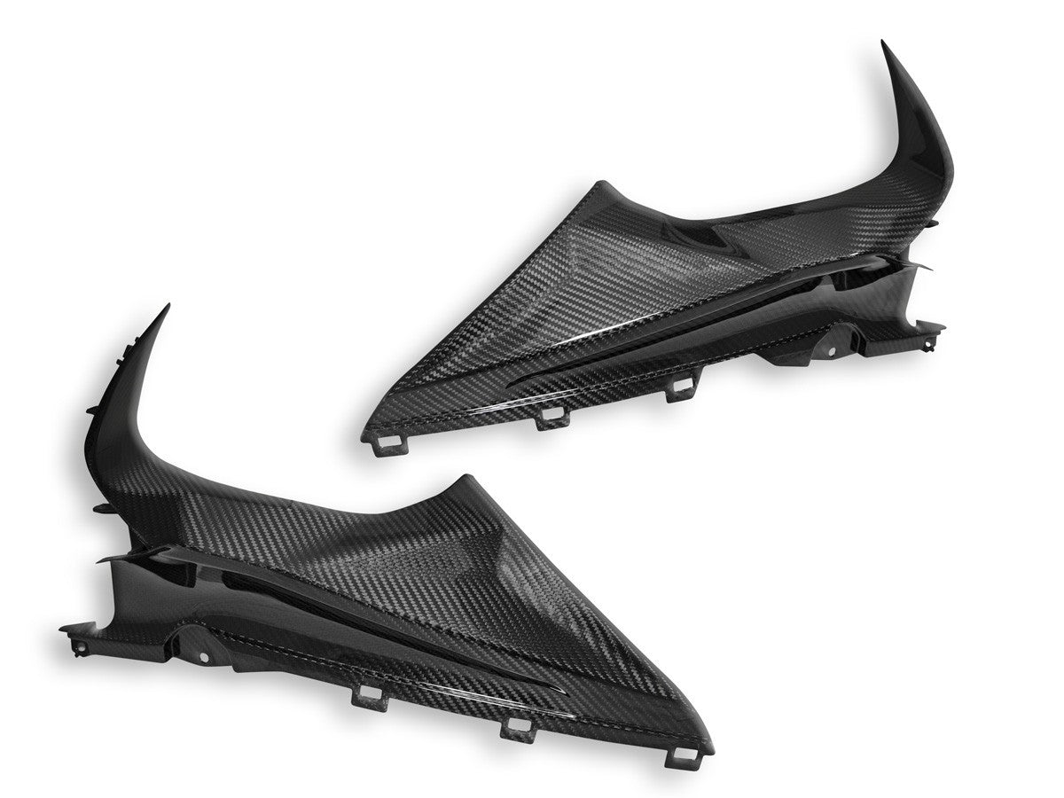 DBK Special Parts (Ducabike) Twill Carbon Fiber Infil Panels for BMW S1000RR (2020+)