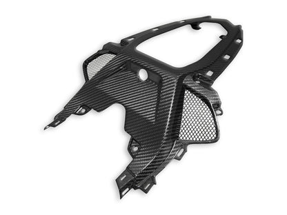 DBK Special Parts (Ducabike) Twill Carbon Fiber Passenger Seat Support for BMW S1000RR / M1000RR (19-22)