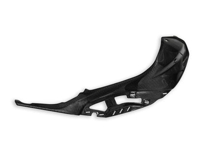 DBK Special Parts (Ducabike) Twill Carbon Fiber Tank Side Panels for BMW S1000R / M1000R (2021+)