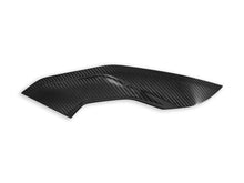DBK Special Parts (Ducabike) Twill Carbon Fiber Side Panels for BMW S1000R / M1000R (2021+)