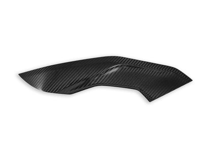 DBK Special Parts (Ducabike) Twill Carbon Fiber Side Panels for BMW S1000R / M1000R (2021+)
