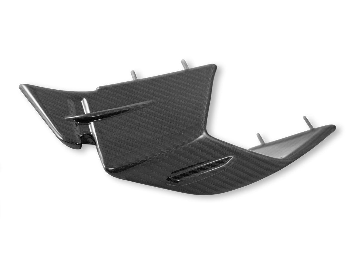 DBK Special Parts (Ducabike) Twill Carbon Fiber Winglets for BMW S1000RR (2023+)
