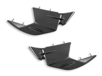 DBK Special Parts (Ducabike) Twill Carbon Fiber Winglets for BMW S1000RR (2023+)